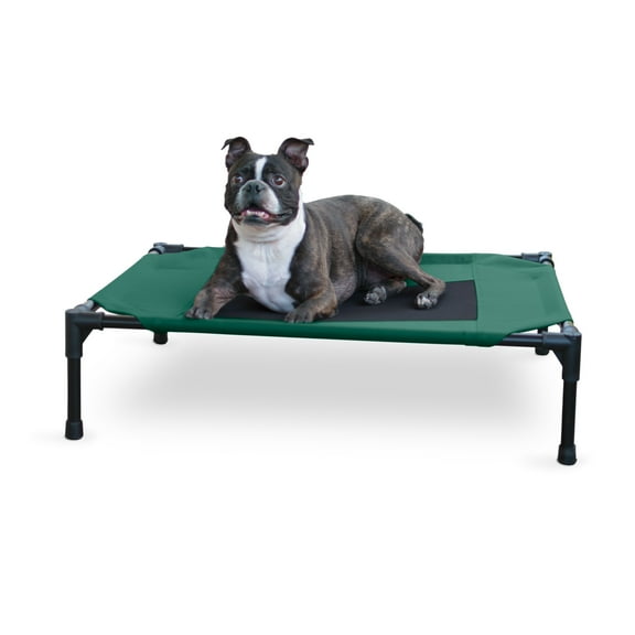 K&H Pet Products Original Pet Cot Elevated Dog Bed Green/Black Mesh Medium 32 X 25 X 7 Inches