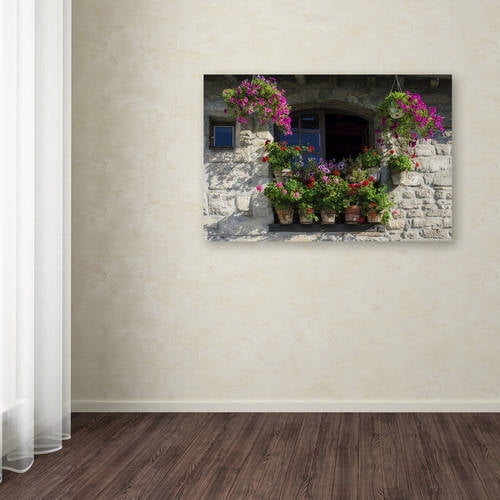 Trademark Fine Art "Window Dressing" Canvas Art by Michael Blanchette Photography