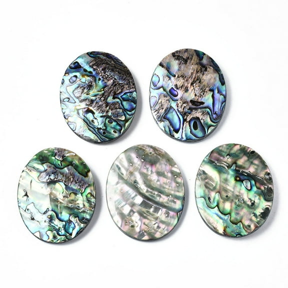 1pc Natural Abalone Shell/Paua Shell Cabochons with Freshwater Shell Oval 50x40x7~9mm