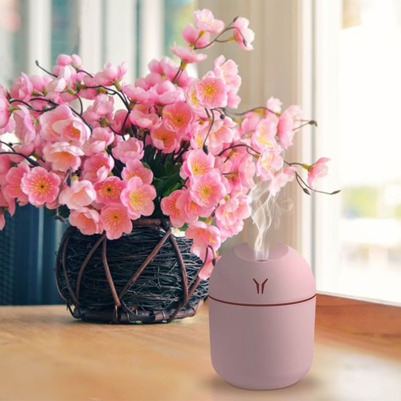 Giunmcul My Order Humidifier 250ml Small Humidifier for Plants Humidifier with Colorful Cup Humidifier for Bedroom Office