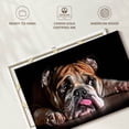 thumbnail image 6 of Elephant Stock Sad Bulldog Wall Art - Horizontal Canvas Wall Art - Living Room Wall Decor - Animal Canvas - Black And Orange Decor - 48" x 32", 6 of 8