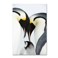 thumbnail image 2 of Trademark Fine Art Robert Harding Picture Library Baby Penguin Canvas Wall Art - 22x32, 2 of 4
