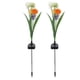 thumbnail image 4 of Lámpara solar LED de diente de león, luz solar de diente de león IP65 Luz solar de diente de león Luz solar de flor de diente de león Tecnología innovadora, 4 of 12