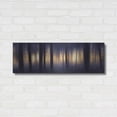 thumbnail image 3 of Luxe Metal Art 'Edge of the Forest' by Lori Deiter, Metal Wall Art, 36"x12", 3 of 9