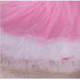 thumbnail image 2 of StylesILove Cute Character Baby Girl Holiday Birthday Party Tutu Dress Romper with Headband 2 pcs Outfit Set (90/12-18 Months, Pink 1st Birthday), 2 of 2