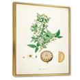 thumbnail image 3 of Designart 'Ancient Plant Life X' Farmhouse Framed Canvas Wall Art Print, 3 of 5