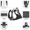thumbnail image 3 of Vsdgher Dachshund Dog Pattern Dog Harness,No Pull Pet Harness with Soft Padded Handle,Adjustable Reflective Vest with 2 Buckles,4 Slide Buckles,S-XL X-Large, 3 of 5