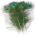 thumbnail image 3 of 10 pcs Peacock Feathers in Bulk 16-18inch(40-45 cm) Bulk for DIY Craft, Wedding, Halloween Decoration, 3 of 6