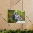 thumbnail image 6 of Majestic Quail Art Majestic Quail Print Animal Wall Art Wildlife Canvas Prints Wall Art Ready to Hang Unframed, 6 of 18