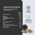 thumbnail image 4 of LIFEED Men | Suplemento Alimenticio con Vitaminas para Hombres | Cápsulas a Base de Creatina, Magnesio, Colageno, Biotina y Fenogreco | 45 Cápsulas para un Suministro de 45 Dias | 1 Cápsula al Dia, 4 of 7