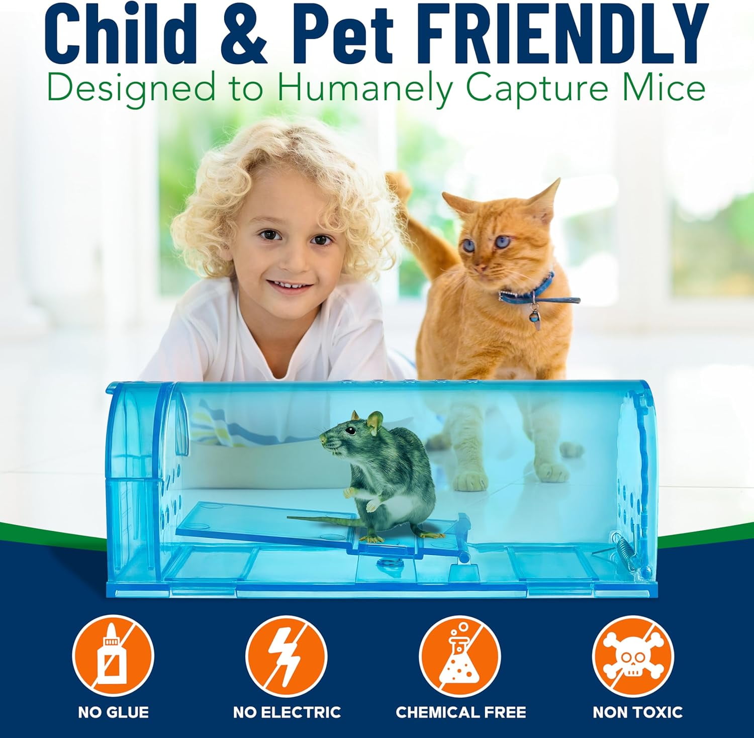 Campior Humane No-Kill Mouse Trap, Large, Indoor, Child & Pet Safe, Easy to Clean, 6-Pack, Blue