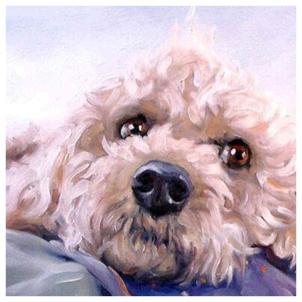 Pintura de diamante cuadro de cachorro de animal de diamante cuadrado Likrtyny Arte deco