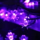 thumbnail image 5 of 20FT 40LEDs luces de cadena de Halloween púrpura araña en forma de luces colgantes decorativas imper Tomshoo  Tipo 2, 5 of 7