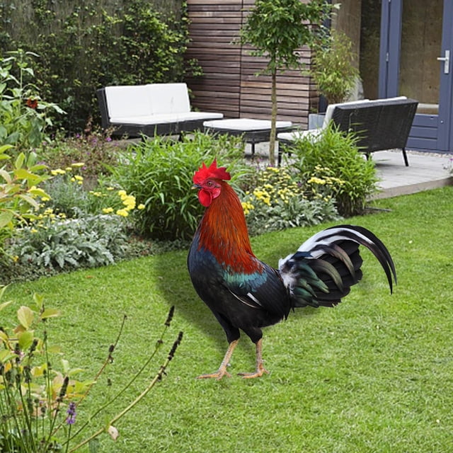 Gallo Animal Estatua Estacas Pollo Escultura Acrílico Realista Piso Decoración Jardín Estacas Adornos para granja Césped Patio al aire