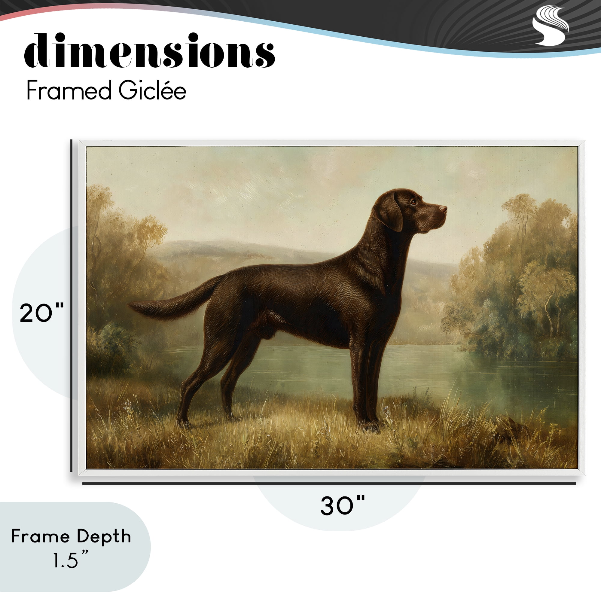 Stupell Industries Chocolate Brown Labrador White Framed Giclee Art, design by Petal Prints Design