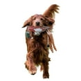 thumbnail image 2 of ZPAQI Interactive Pet Chasing Toy Fowl Dogs Training Toy Pheasants Pet Puppy Supplies, 2 of 7