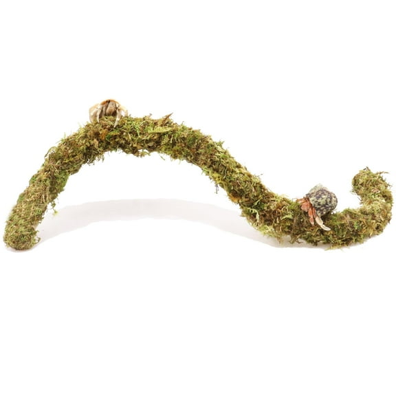 Trianu Hermit Crab Climbing Toy, Hermit Crab Accessories, 23.6inch Hermit Crab Habitat Tank Terrarium Accessories