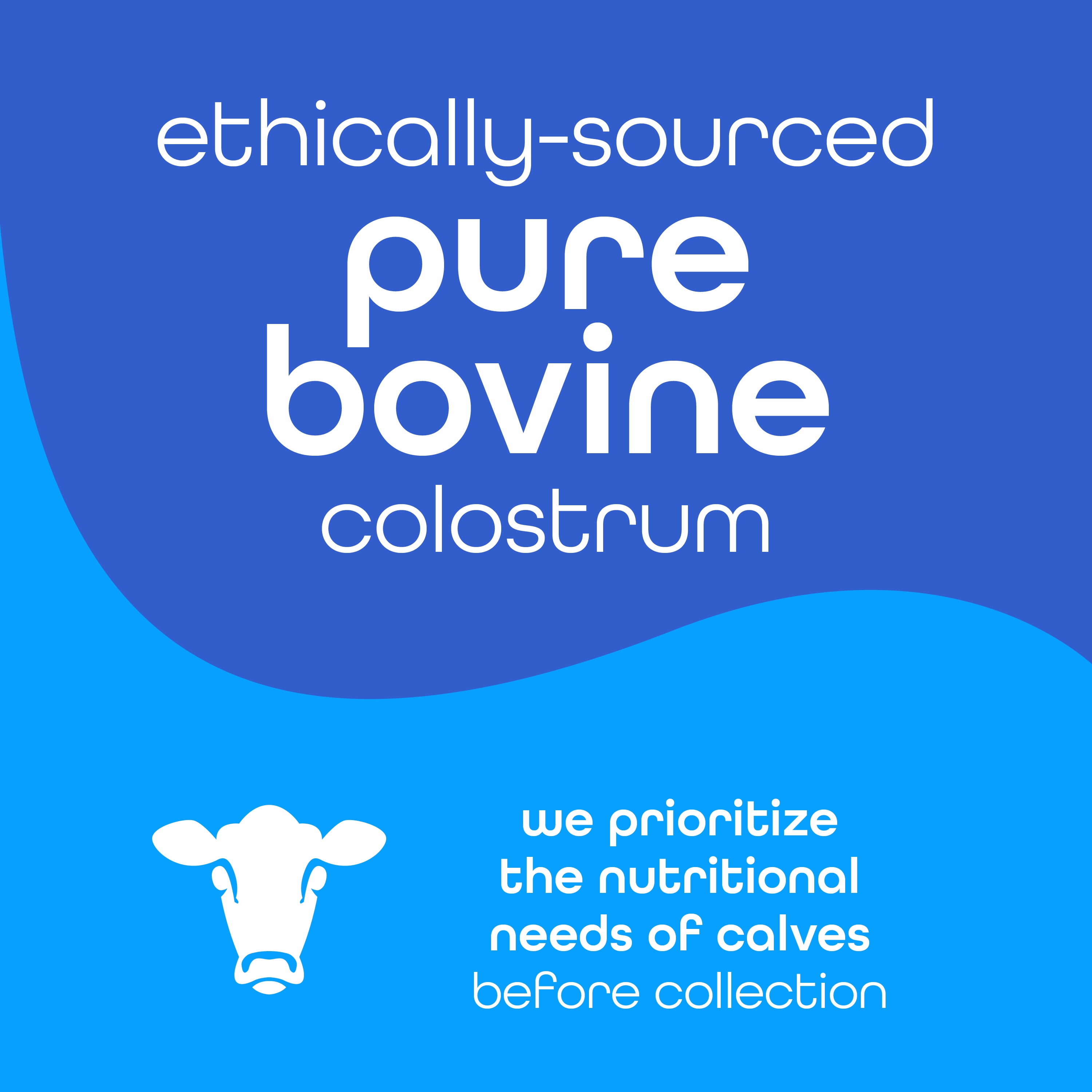 Zena Nutrition Colostrum Premium Powder, 2000mg Pure Colostrum, Gluten-Free, Unflavored For Cold Drinks, 30 Servings