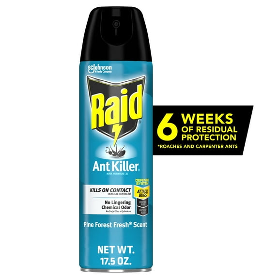 Raid Ant Killer 26, Insecticide Spray for Home, Pine Forest Fresh Scent, 17.5 oz