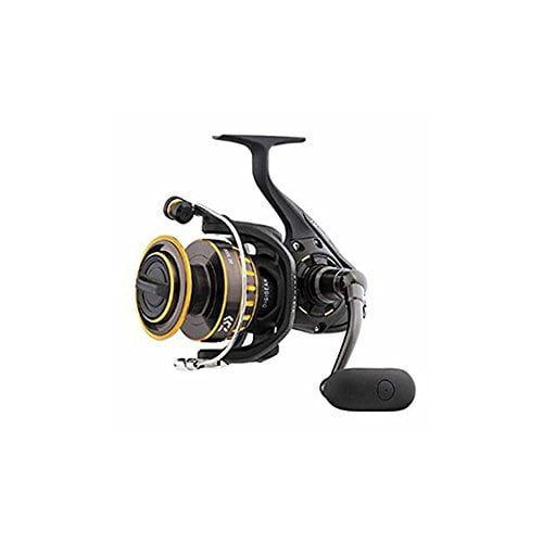 Daiwa bg best sale 8000 max drag