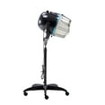 BarberPub Portable Professional Hood Hair Dryer, Standup Rolling Base, 1000 Watts, Black
