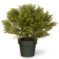 thumbnail image 1 of National Tree Company Arbre Artificiel de 20 Pouces avec Pot, 1 of 4