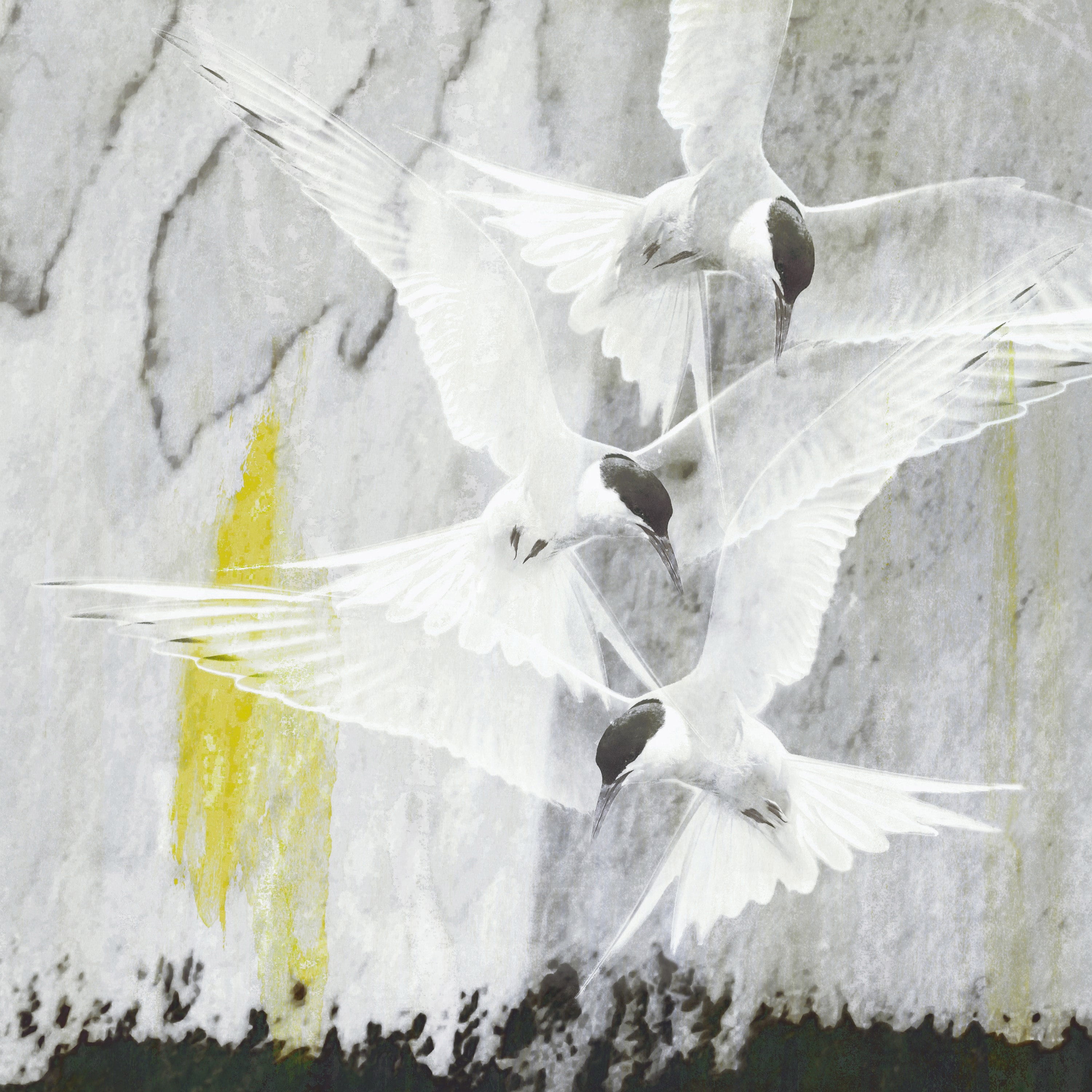 "Come Flock Together" Painting Print on Wrapped Canvas