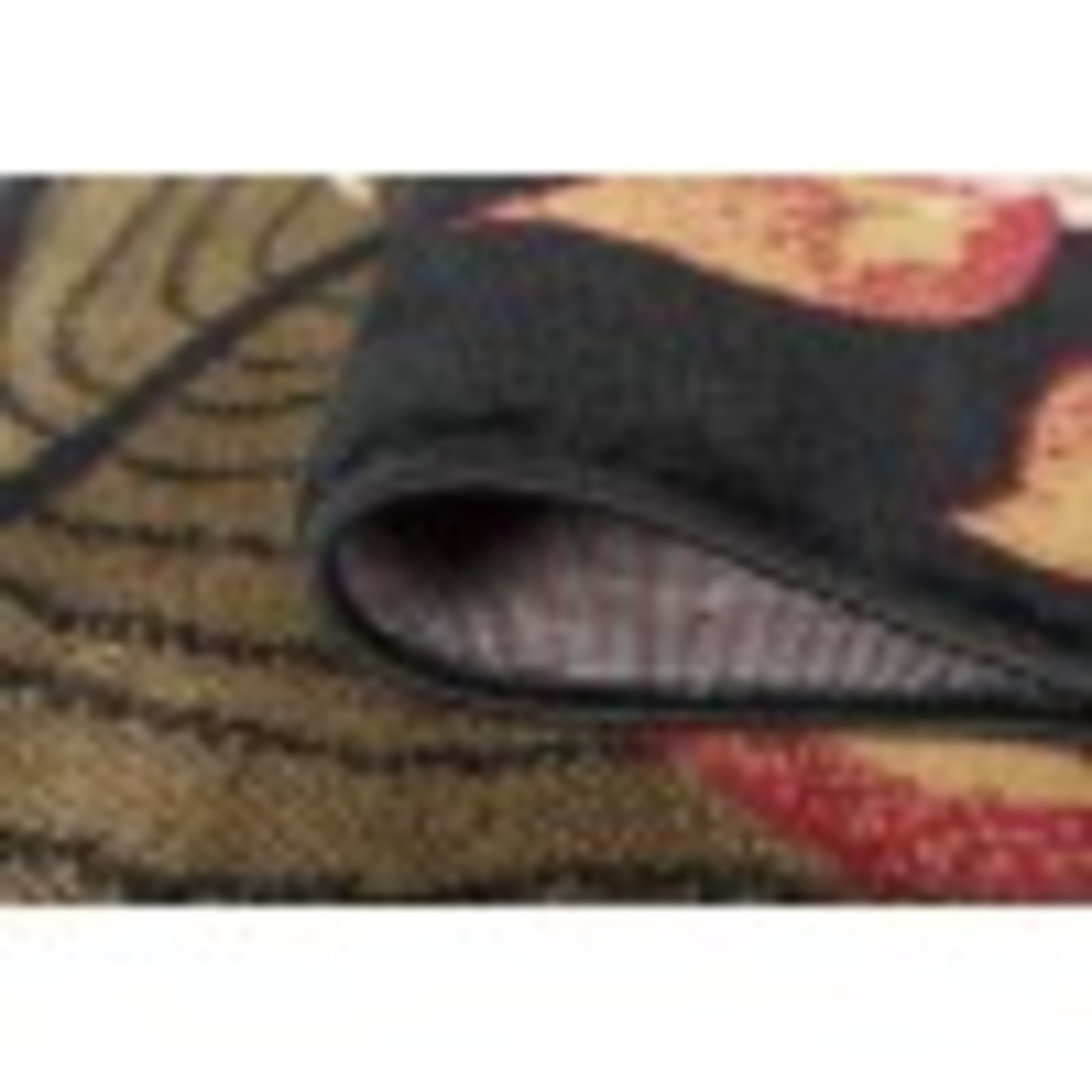 Transitional Area Rug (5'3'' Round) Botanical Black, Avocado Indoor Round Easy to Clean