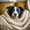 Cream 03, variant on Homewish Lovely Golden Retriever Zipper Twin Comforter Sets with Fitted Sheet and 2 Pillowcases,Cartoon Dog Zipper Bedding Set,White Clouds Decor,Navy Blue Reversible,4pcs