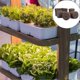 thumbnail image 3 of Plant Grow Sponges For Garden Hydroponic Indoor Garden Smart Sponge With Nutrients, Replacement Gro, 3 of 4