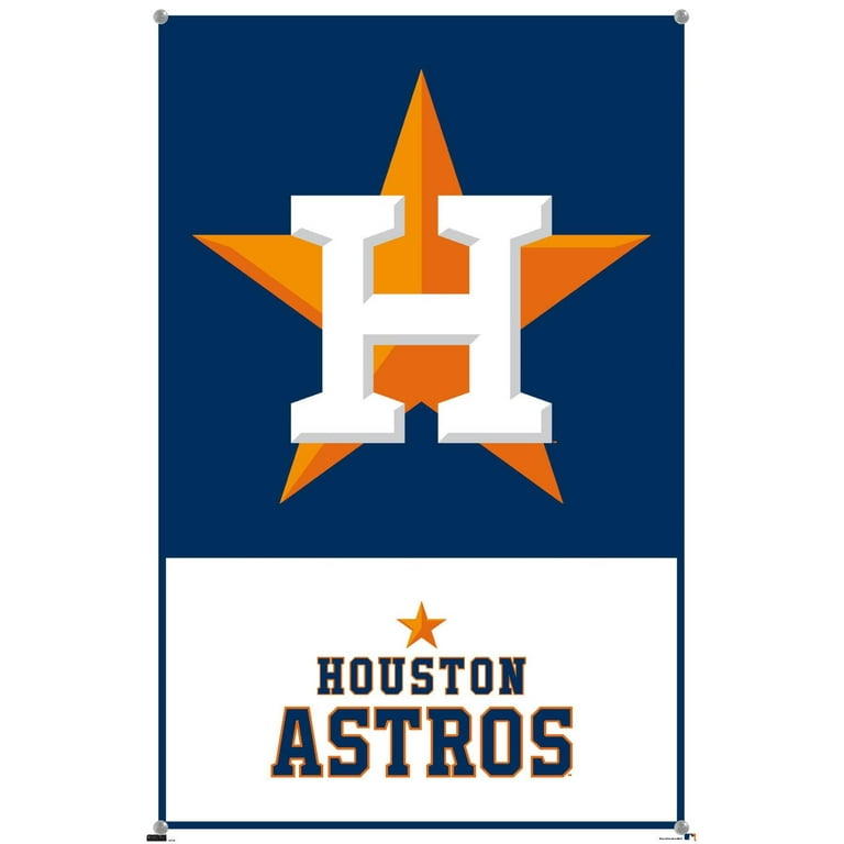 Pin on astros game