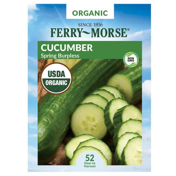 FerryMorse Cucumber Spring Burpless Organic Seed 9633