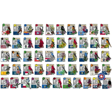 

Montage U.S. State Magnet Set by Classic Magnets 51-Piece Set