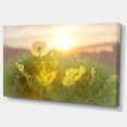 thumbnail image 2 of Dandelion Blooming Flower in Field - Floral Canvas Art Print, 2 of 3