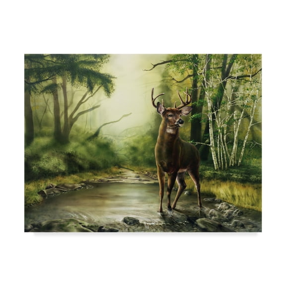 Trademark Fine Art 'Deer In Woods' Canvas Art by Beverly Doyle