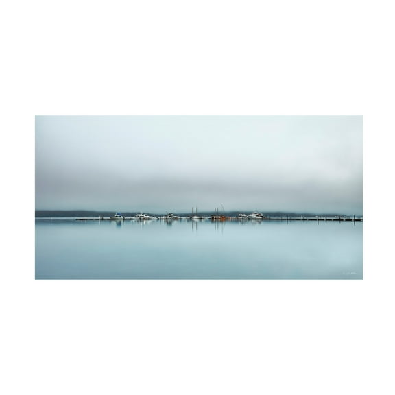 Canvas Wall Art - Kent Burkhardsmeier 'Chilling Fog' Wall Art for Living Room, Bedroom, or Office Décor by Trademark Fine Art - 19 x 10 Inches