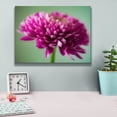 thumbnail image 4 of Epic Graffiti 'Mums The Word' by Pamela Plummer, Canvas Wall Art, 16"x12", 4 of 8