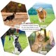 thumbnail image 5 of Silbato para perros, 2022 nuevos 2 silbatos ultrasónicos para perros para dejar de ladrar silbatos para perros para recordar el entrenamiento, silbato para perros silencioso ajustable profesional para Feliz Sencillez, 5 of 5
