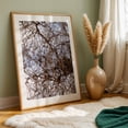 thumbnail image 5 of Untitled - Portland Oregon Photography Abstract Nature Botanical Woodland Woods Scenic Minimalist Oak Framed Wall Art Print 12 x 18 inches, 5 of 59