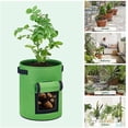 thumbnail image 4 of Potato Growing Bag, 5-pack 10 Gallon Vegetable Growing Plant Bags With Viewing, 4 of 5