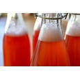 thumbnail image 7 of Fermentaholics Liquid Invert Sugar Syrup 20 fl oz Pouch - Baking, Ice Cream, 7 of 7