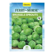 Ferry-Morse 810MG Brussels Sprouts Catskill Biennial Vegetable Seeds, Full Sun