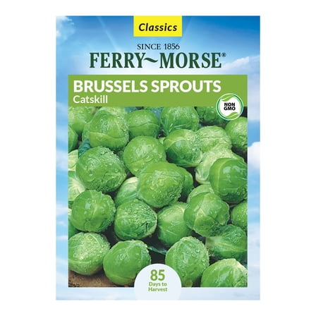 Ferry-Morse 810MG Brussels Sprouts Catskill Biennial Vegetable Seeds, Full Sun
