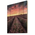 thumbnail image 2 of Designart 'Dramatic Clouds and Sunrise Over Lavender Field XIV' Farmhouse Print on Natural Pine Wood, 2 of 5