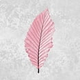 thumbnail image 3 of Kimberly, Allen 12x12 Black Modern Framed Museum Art Print Titled - Pink Leaf 3, 3 of 5