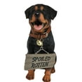 thumbnail image 4 of Guest Welcome Realistic Rottweiler Dog With Jingle Collar Sign Decor Statue 13"H, 4 of 7