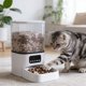 thumbnail image 1 of Comedero automático para perros y gatos: dispensador de comida inteligente con temporizador, control de porciones y videovigilancia., 1 of 6