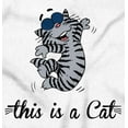 thumbnail image 2 of This is a Cat Funny Pet Owner Humor Women's Long Sleeve T Shirt Brisco Brands S, 2 of 5