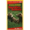 All About Animals: Bundles of Babies (Full Frame)