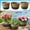 Black, variant on Seagrass Woven Planter Basket | Handmade Natural Storage Basket for Plants, Toys & Home Organization | 1-Piece